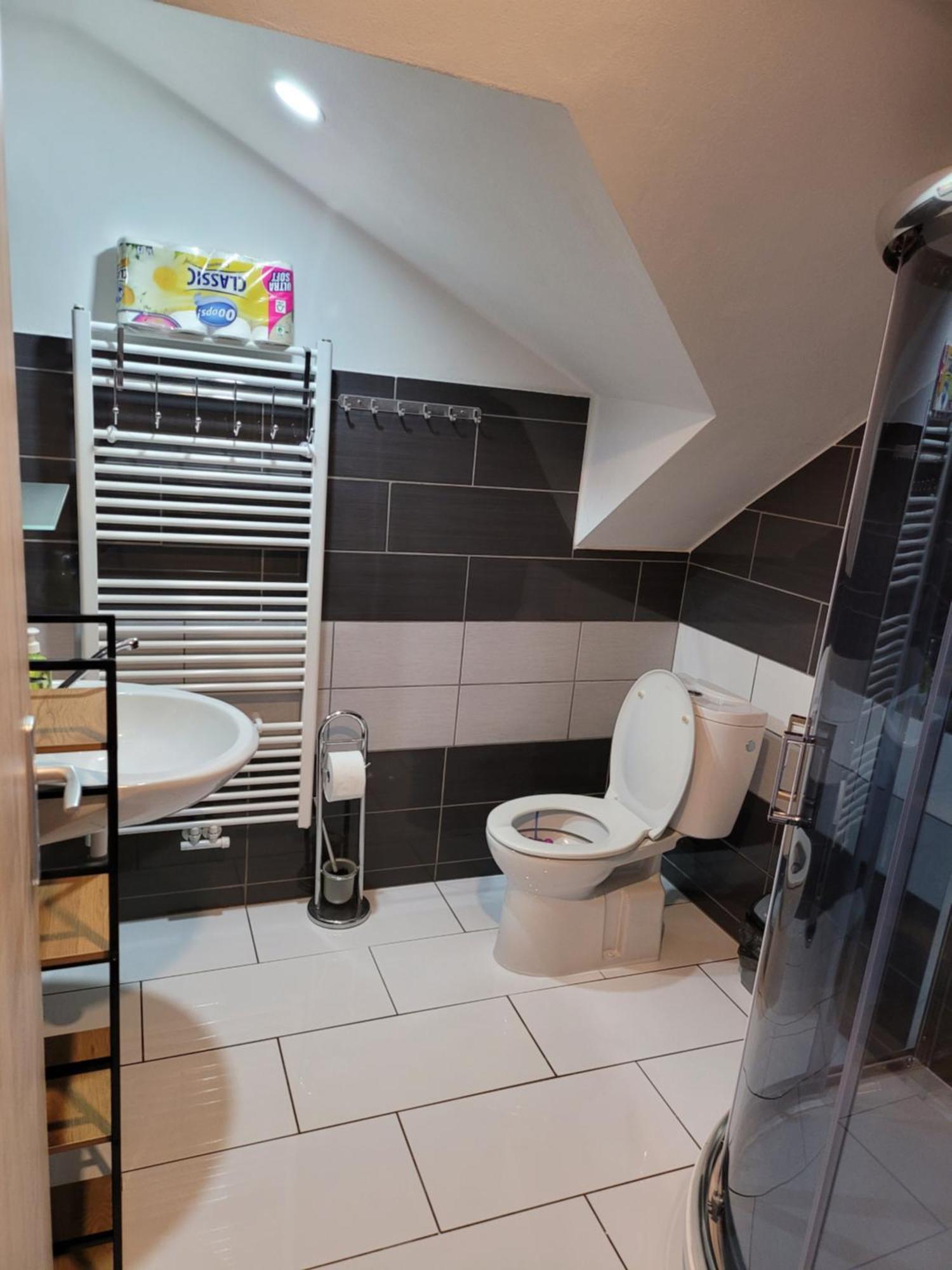 Penzion Karolína Lučany nad Nisou Exterior foto