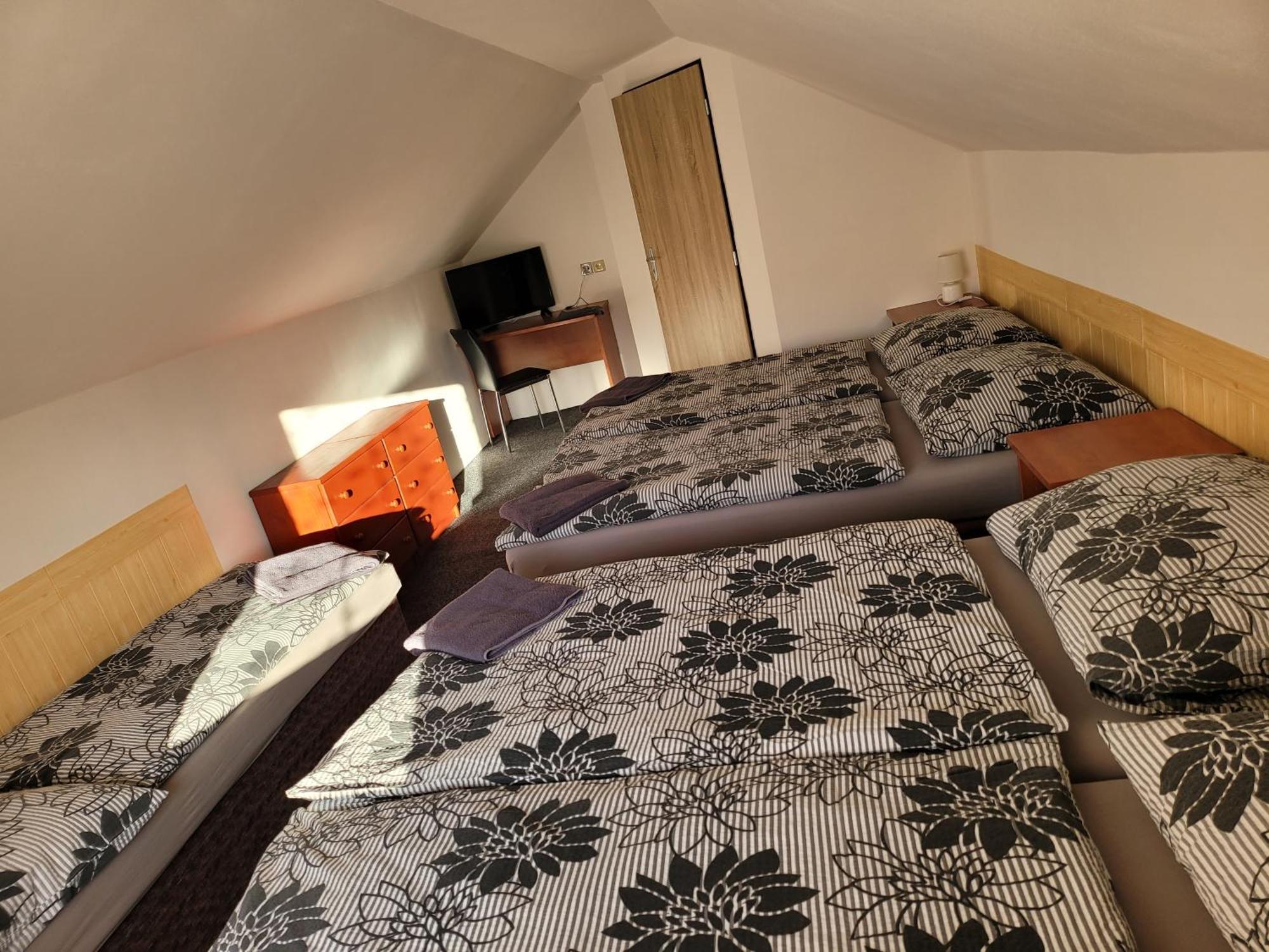 Penzion Karolína Lučany nad Nisou Exterior foto